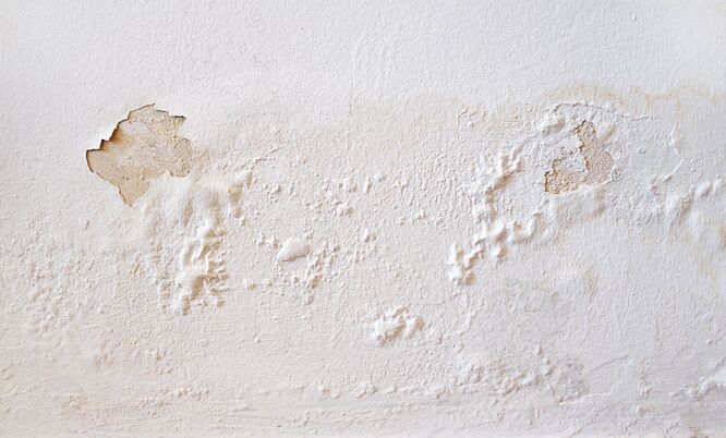 Feuchteschaden an einer Wand