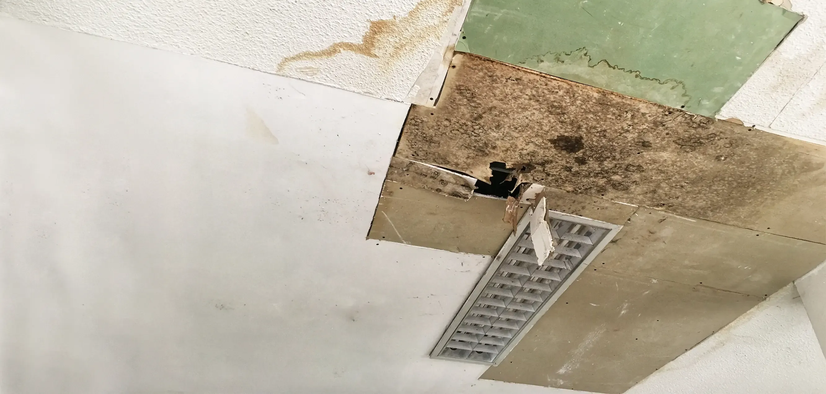 Ein Zimmer zeigt eine beschädigte Decke mit Feuchtigkeitsspuren und Schimmel. Ein Teil der Deckenverkleidung fehlt, darunter sind grüne Platten sichtbar. Eine weiße Lampe ist zudem in die beschädigte Fläche integriert.