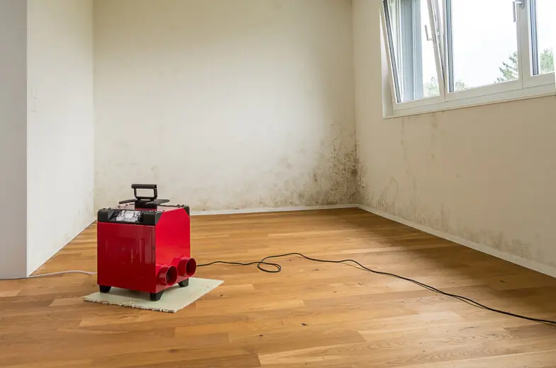 Raum mit sichtbarem Schimmelbefall an den Wänden und aufgestelltem Bautrockner zur Trocknung nach einem Feuchteschaden.