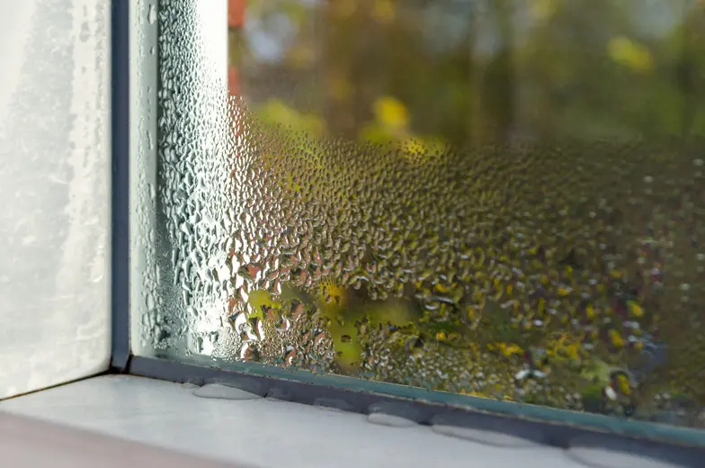 Kondenswasser auf der Innenseite einer Fensterscheibe als sichtbares Anzeichen erhöhter Luftfeuchtigkeit und möglicher Feuchteprobleme.