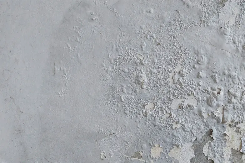 Durch Feuchtigkeit geschädigte Wand mit Blasenbildung, abplatzender Farbe und beschädigter Putzoberfläche.
