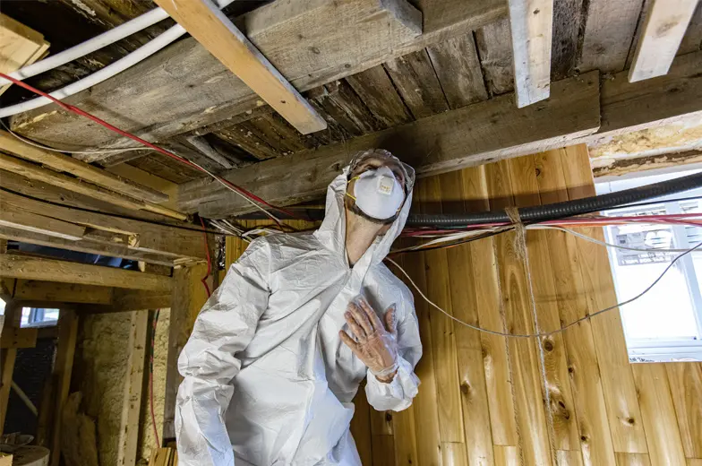 Fachperson in Schutzkleidung und Atemschutz bei der Untersuchung einer Holzkonstruktion auf mögliche Schadstoffbelastungen.