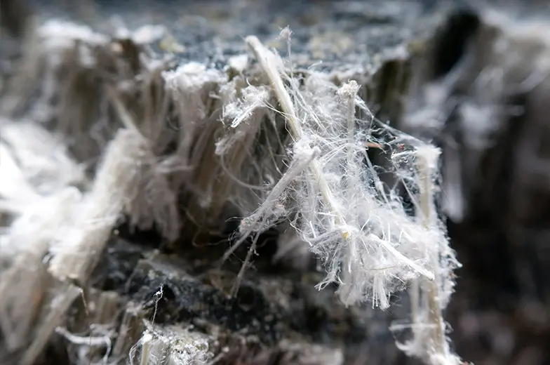 Nahaufnahme von weißem, faserigem Material, das einer Gesteinsoberfläche zugewandt ist. Die Fasern wirken zerbrechlich und chaotisch angeordnet, erinnern an Watte oder feine Fäden. Der Hintergrund ist unscharf.